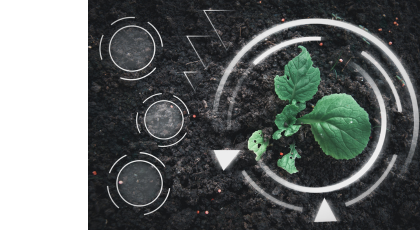 World Wildlife Fund’s Food Systems Fellowship Program 2024